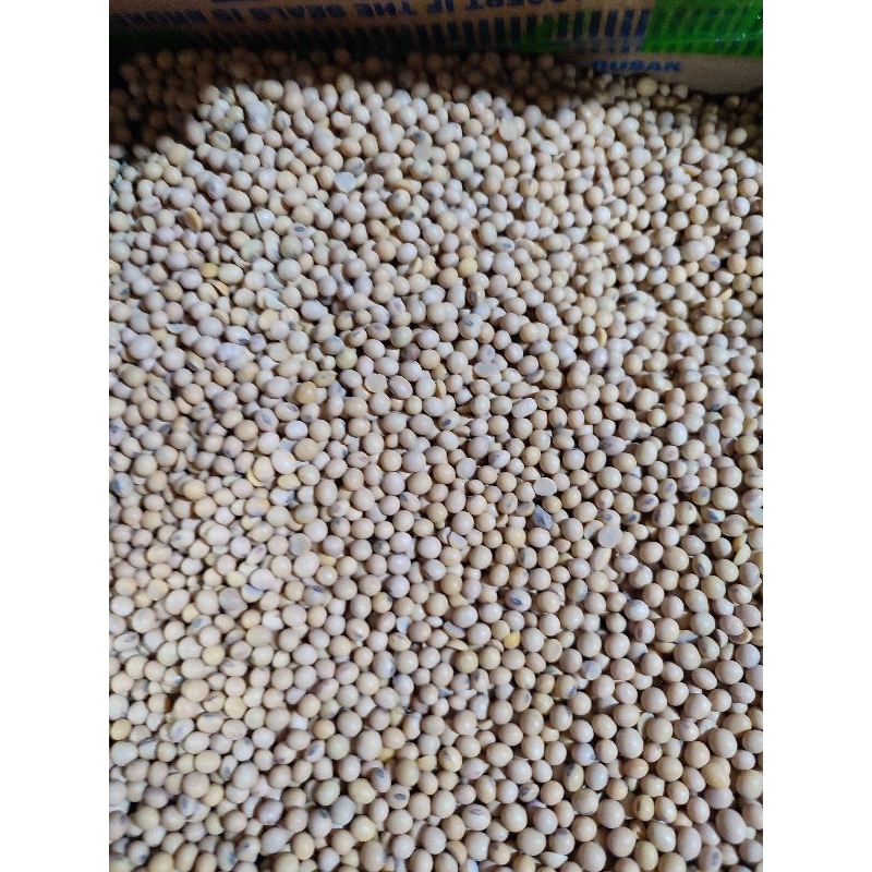 

Kacang kedelai /kacang tempe 250 gr,500 gr