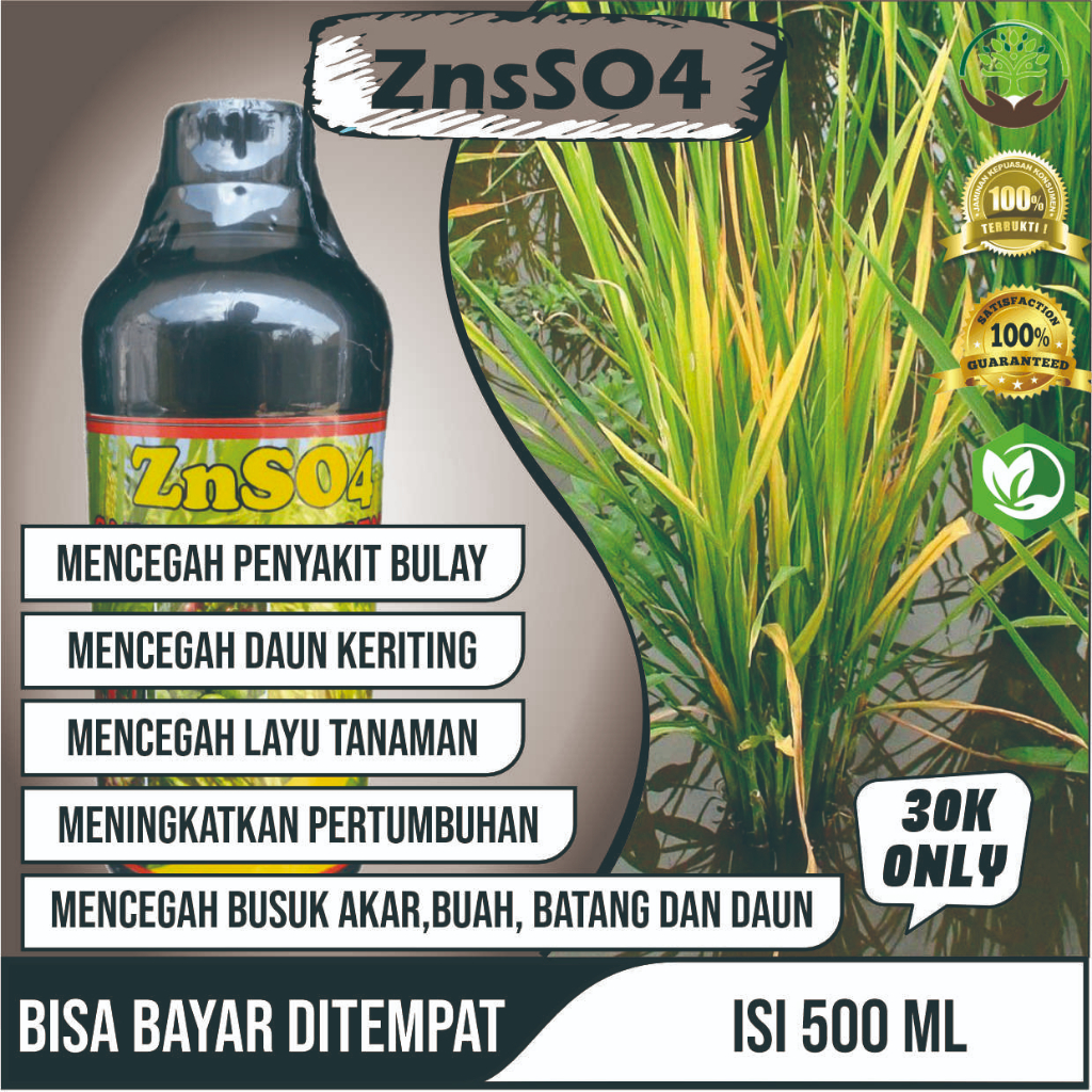 (Langsung Kirim) ZnSO4 GAZA ZINK SULFATE Untuk Padi Kerdil - Obat Organik Cair Pengendali Padi