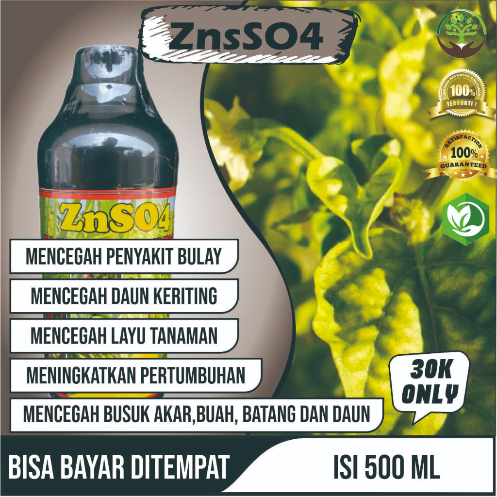 PROMO ZnSO4 GAZA ZINK SULFATE Obat Busuk Batang Tanaman Cabe Ampuh, Atasi Patek Cabe Busuk Akar Bata