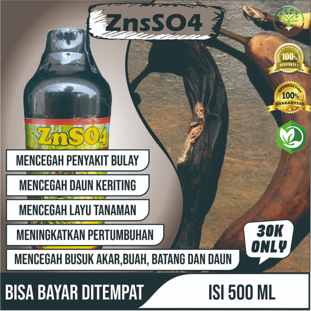Obat Semprot Virus Kuning Gemini Pada Pohon Pisang, ZnSO4 GAZA ZINK SULFATE Obat Virus Kuning Pisang