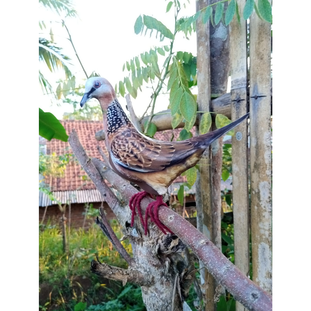 jontrot tekukur Decoy patung tekukur murah