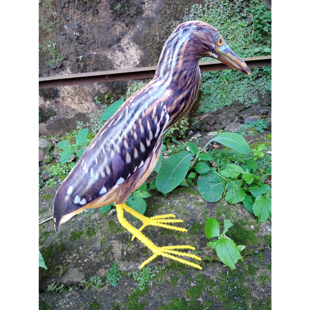 Jontrot/Patung Burung Koak malam/koak maling