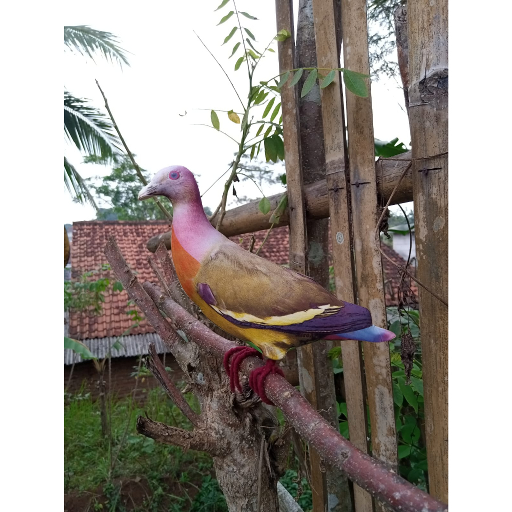 Jontrot Patung Burung Punai Gading