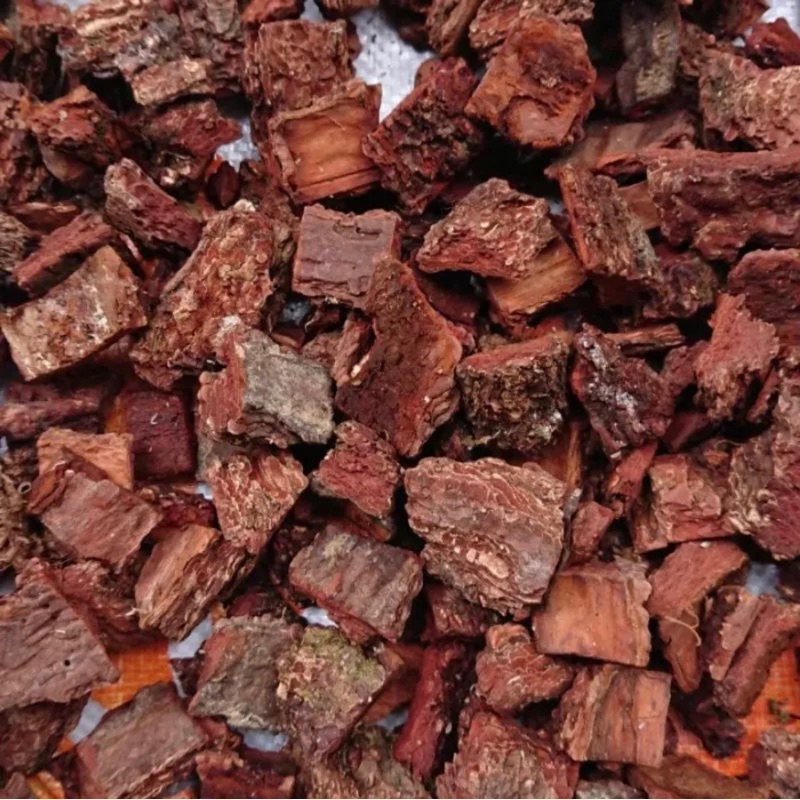 Media tanam kulit pinus cacah pine bark