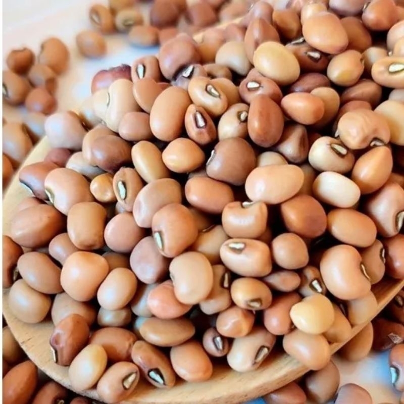 

KACANG TUNGGAK FRESH 500GR/250 GR/1KG