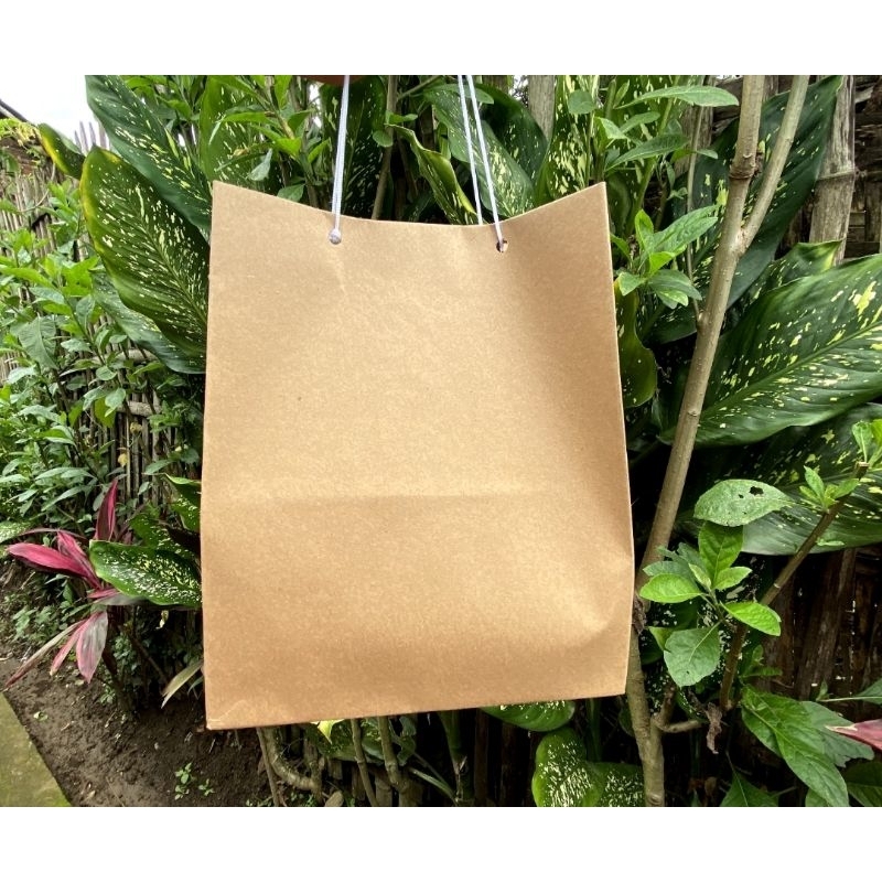 

PaperBag R5 , Paperbag Cokelat Polos 18x12x22