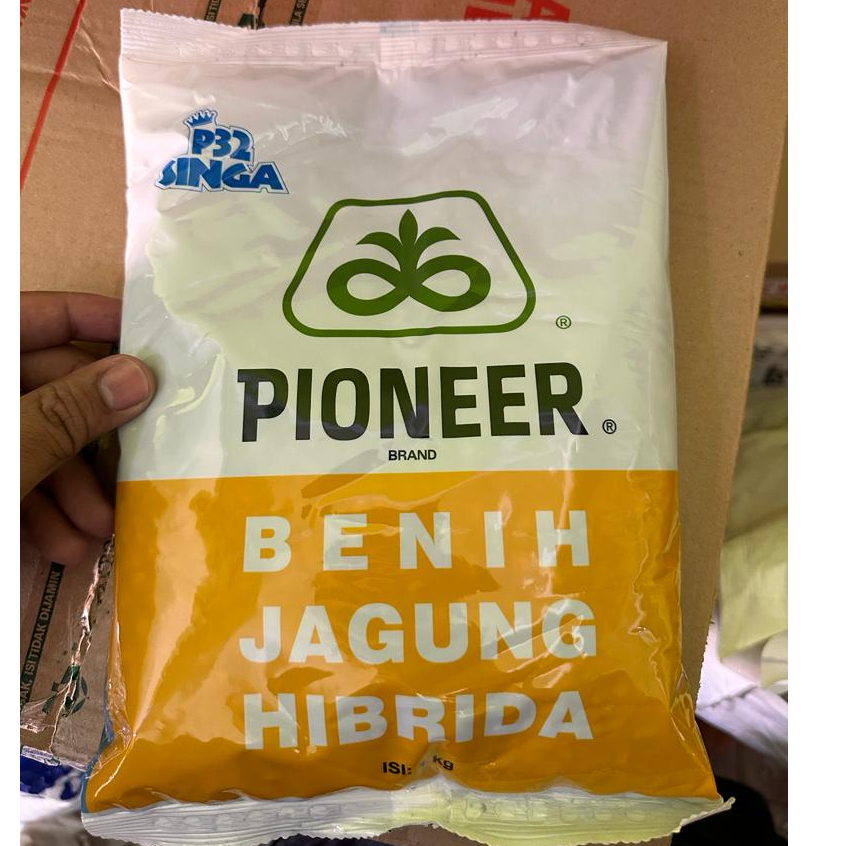 P32 SINGA BIBIT JAGUNG