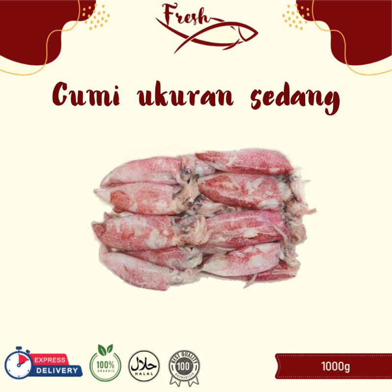 CUMI-CUMI UKURANG SEDANG/CUMI UKURAN TANGGUNG FRESH 1kg