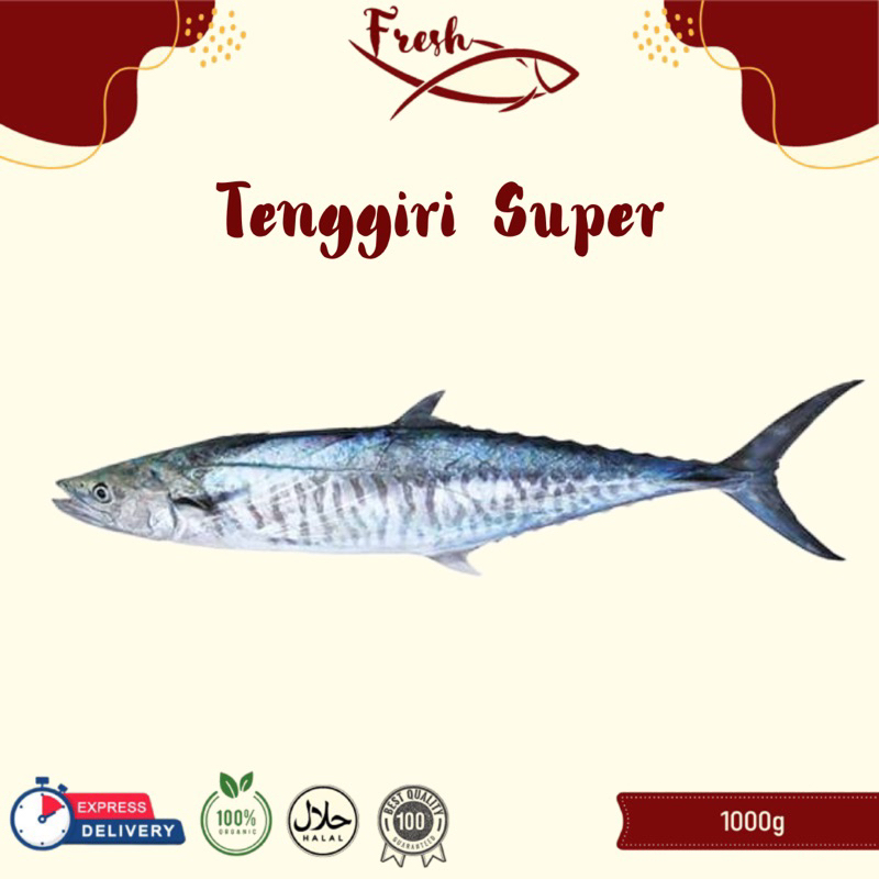 

TENGGIRI SUPER FRESH 1UP