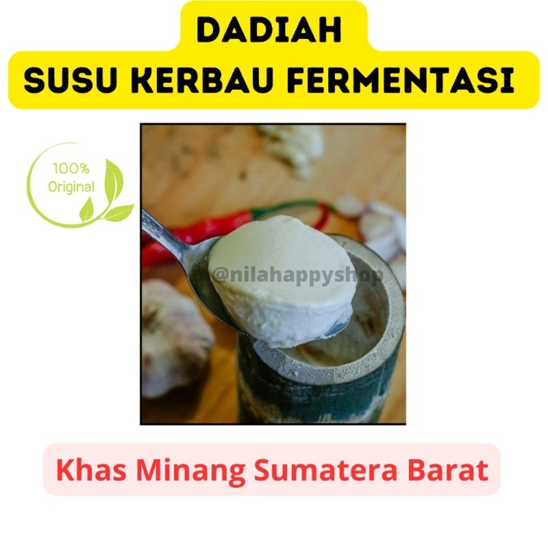 

Dadiah Susu Kerbau Fermentasi Khas Minang
