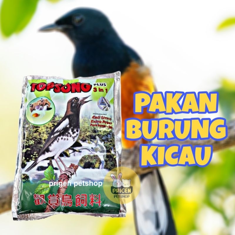TOPSONG PAKAN BURUNG KICAU - Voer Burung Kicau Murai Kacer Anis Merah Punglor  Tledekan Cucak Ijo Cu