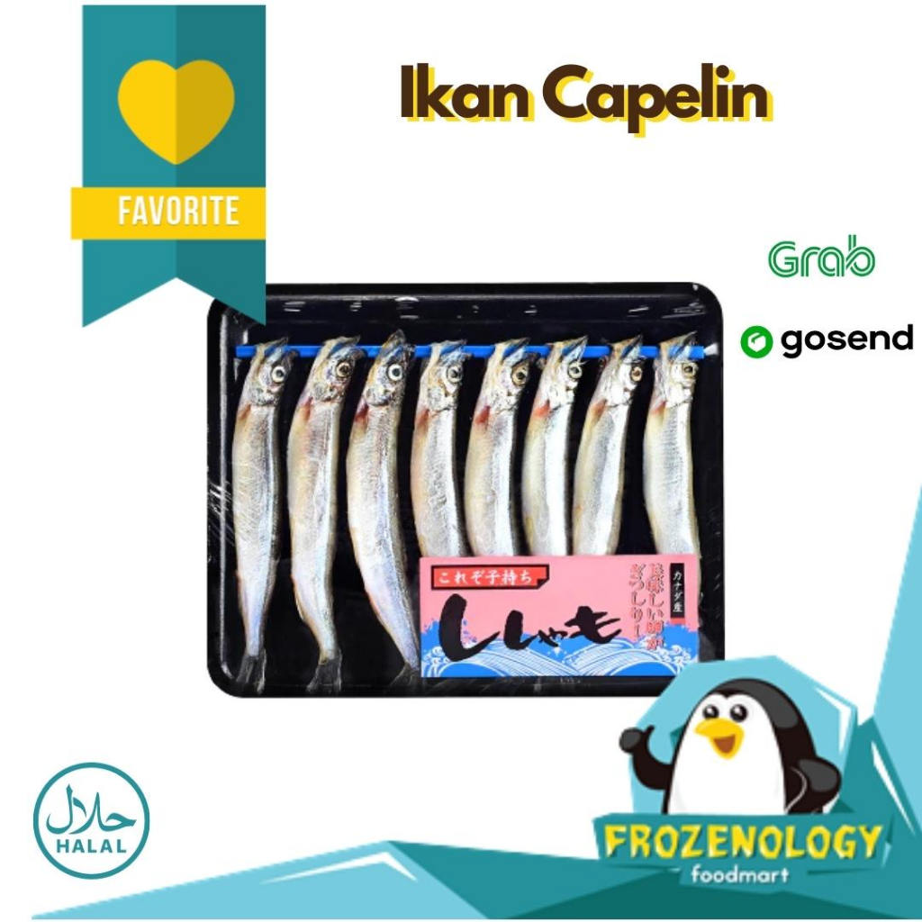 

Shisamo Fish Ikan Capelin Gendut Telur Full kaya Gizi Omega 3 isi 8pcs