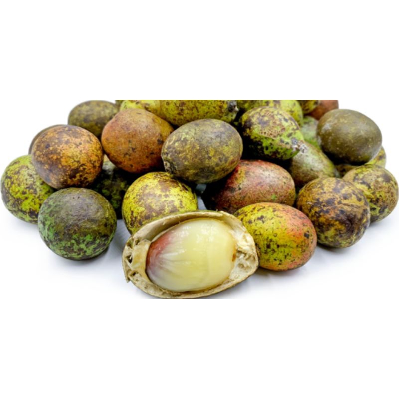 

Buah matoa fresh 500gr