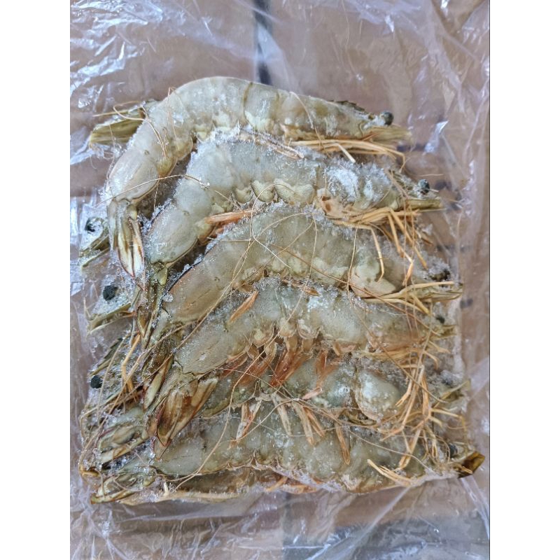 

UDANG KEMASAN 500GR