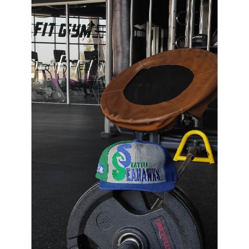 Topi Vintage Seattle Seahawks By AJD