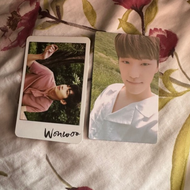 PC Wonwoo Seventeen AL1