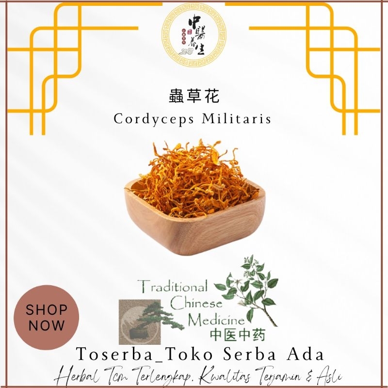 

100gr Chong Cao Hua 虫草花 Cordyceps Flower Jamur Bunga Cordyceps Cordyceps Militaris