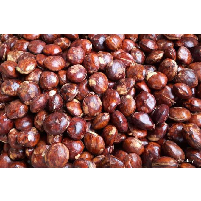 

Jengkol Super 1kg