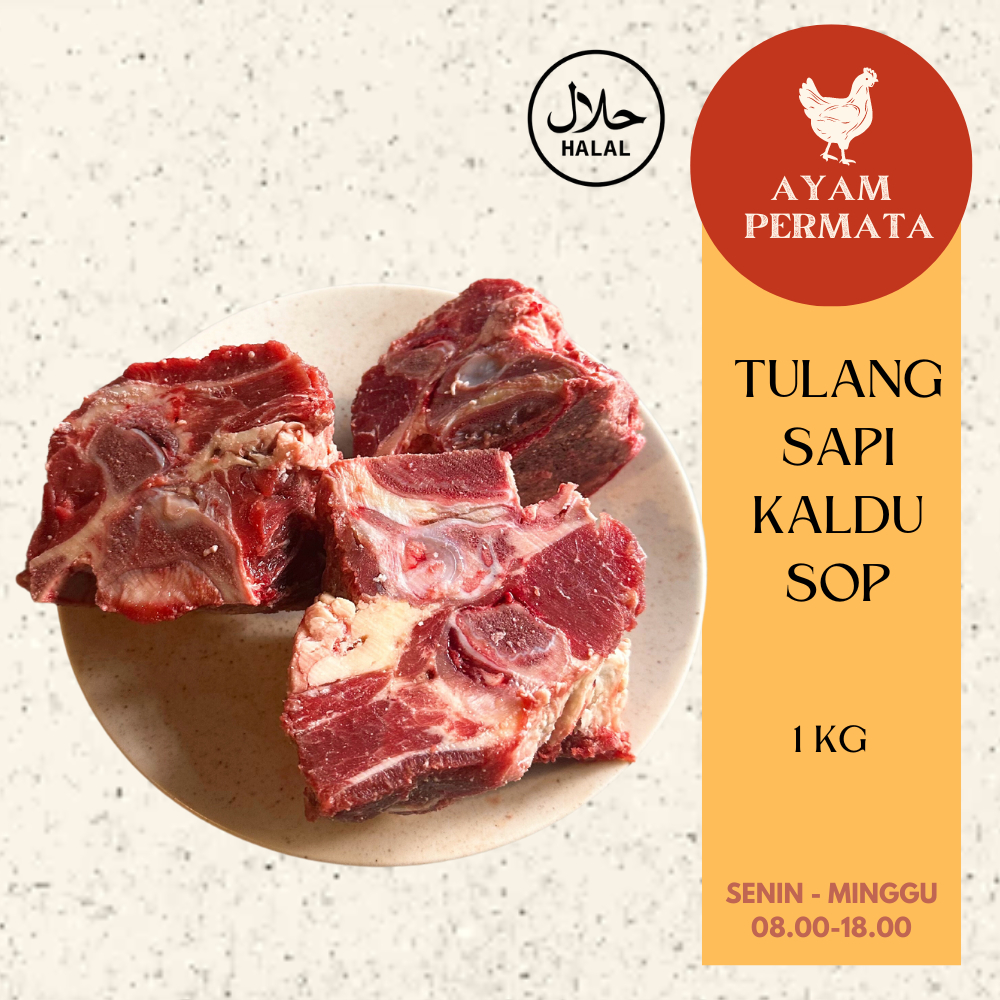 

Tulang Sapi Kaldu Tebal Super - Kuah Bakso Beef Baso Meatball - Buat Broth Esens Sapi Alami Import Halal Ayam Permata AyamPermata