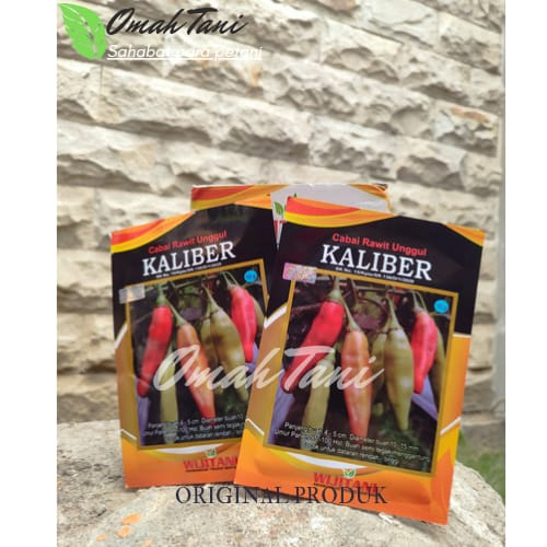 

Benih cabe rawit kaliber 10 gr original wijitani
