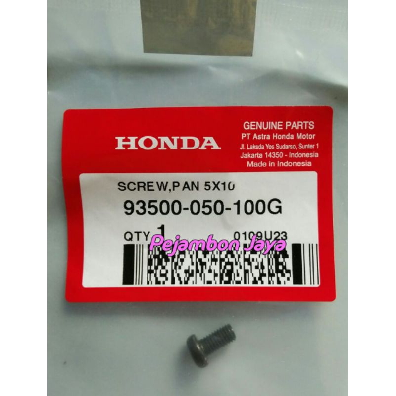93500050100G SCREW PAN 5X10