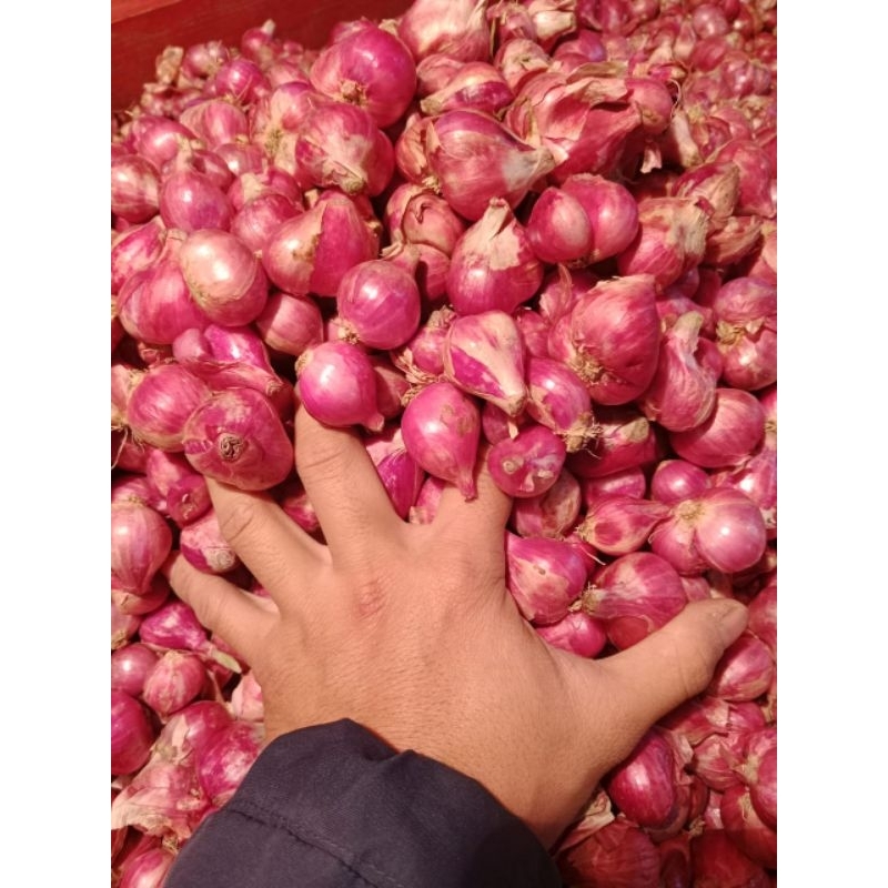 

bawang merah jawa paket 10kg