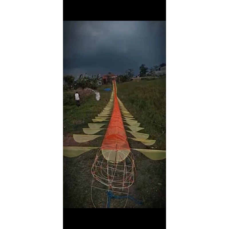 Dm 20cm ekor naga layang layang 30