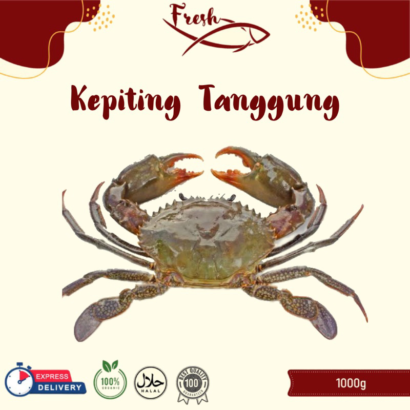 

KEPITING SIZE SEDANG/KEPITING TANGGUNG HIDUP 1kg