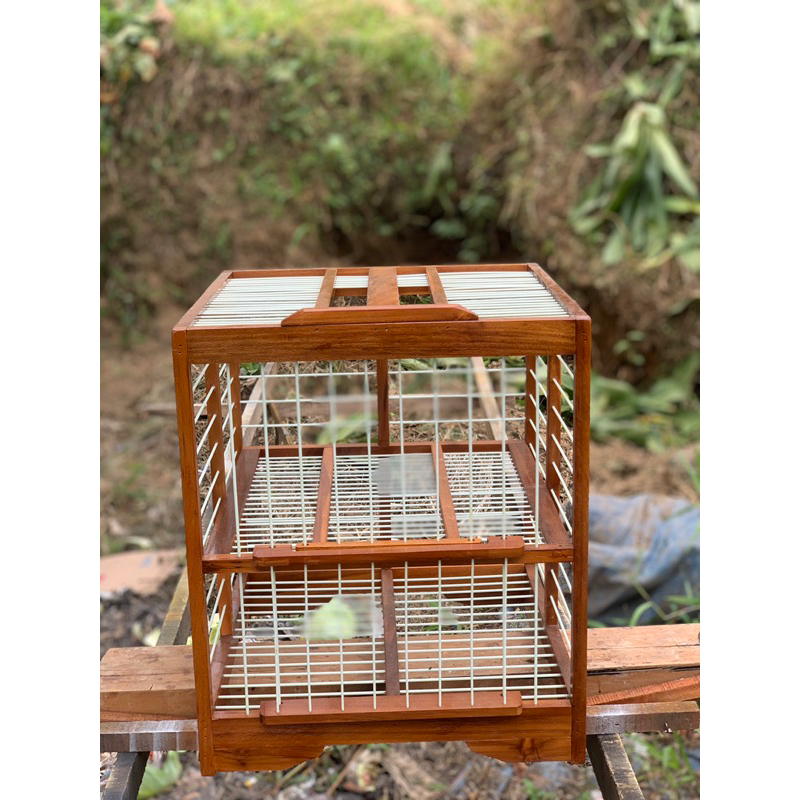 Dongdang merpati pintu 2 jati fiber(Gratis Nama Team)