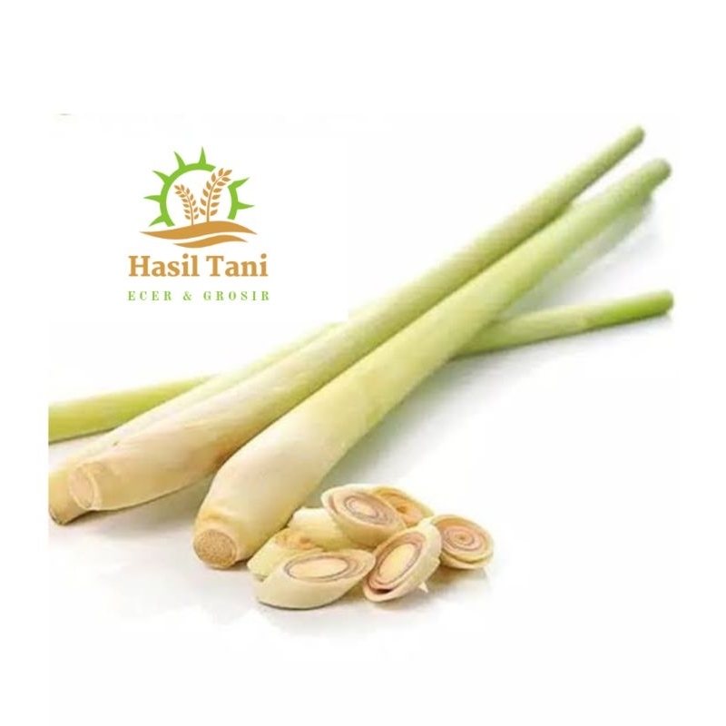 

Serai/Sereh Segar Asli Hasil Panen Petani Langsung dari Kebun