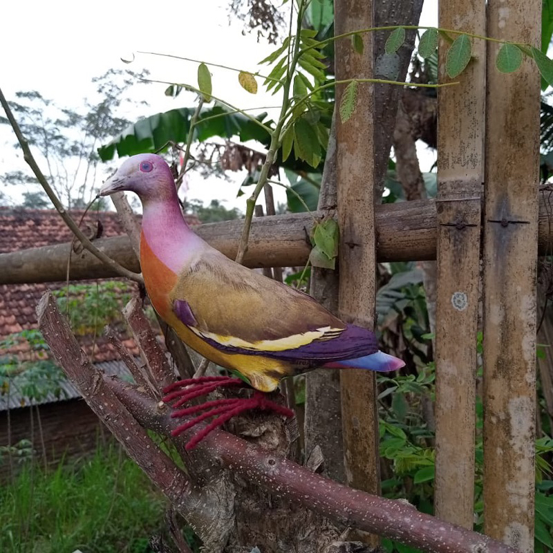 Patung jontrot burung punai gading - Alat Pikat punay gading