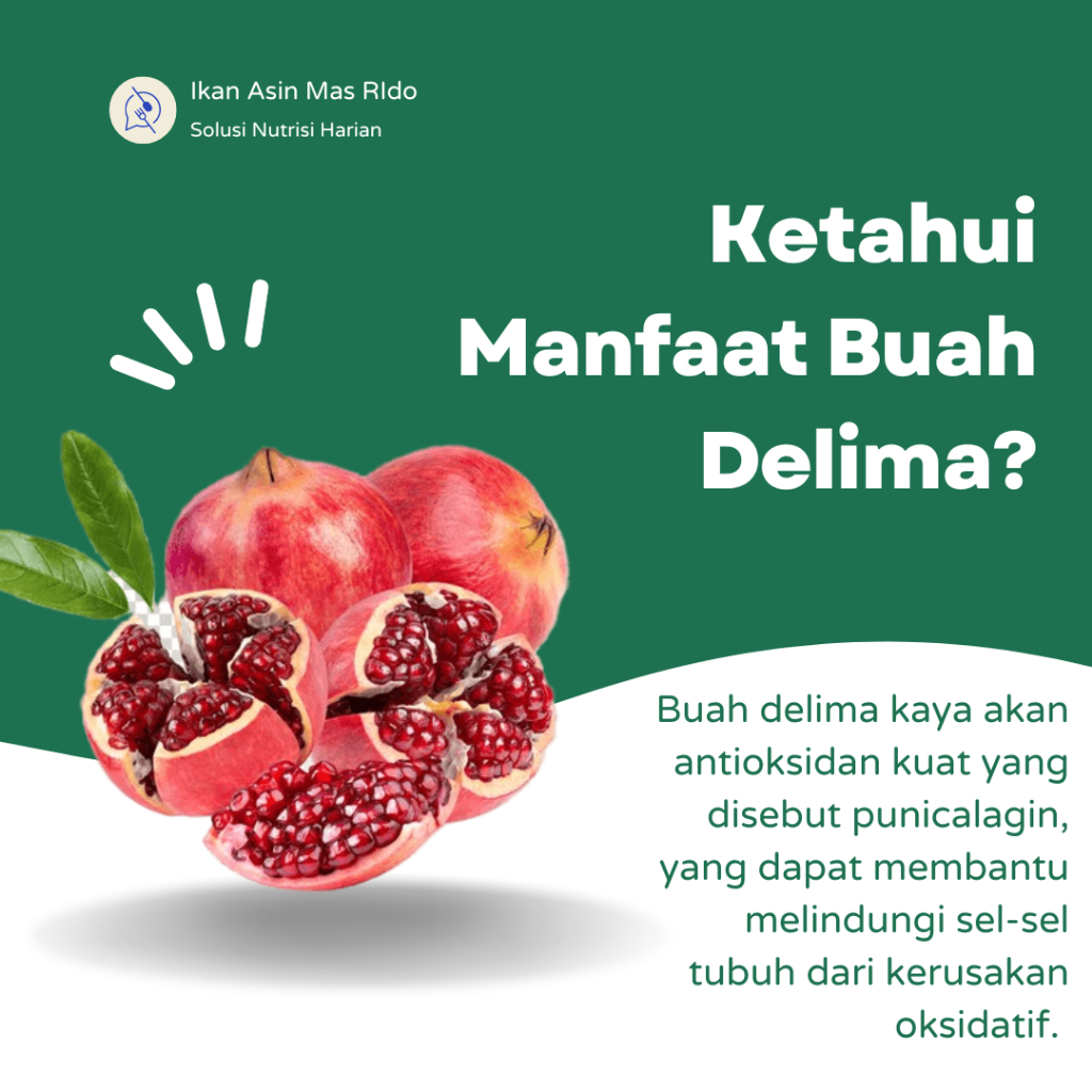 

Buah Delima Merah Segar Fresh Kwalitas Super Harga Murah