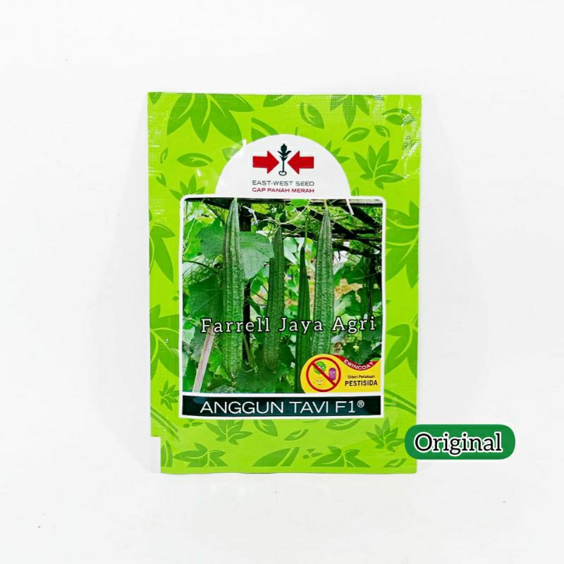 BENIH BIBIT OYONG GAMBAS ANGGUN TAVI F1