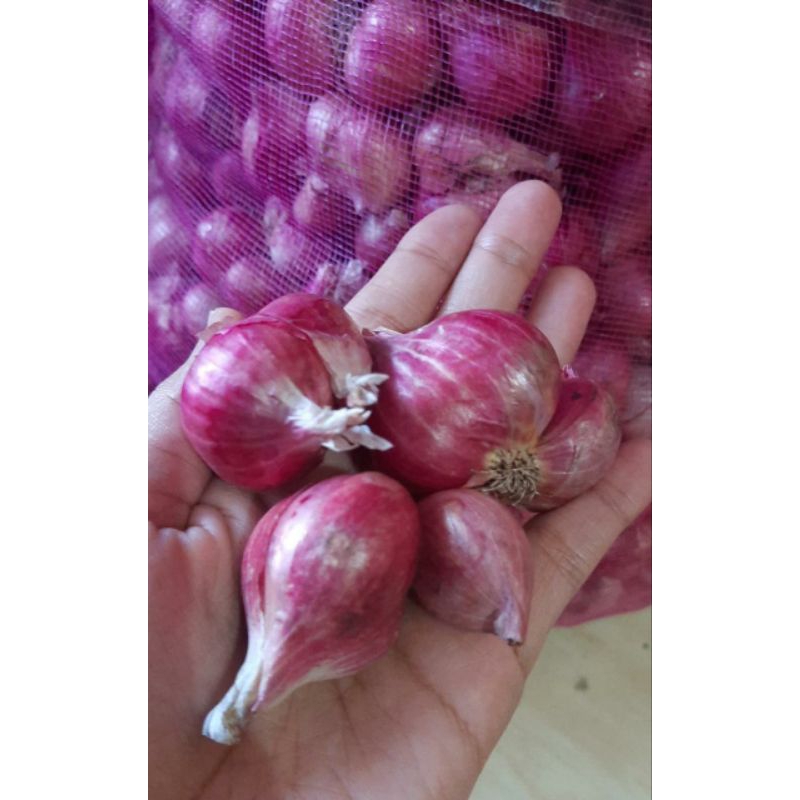 

Bawang Merah Nganjuk Premium