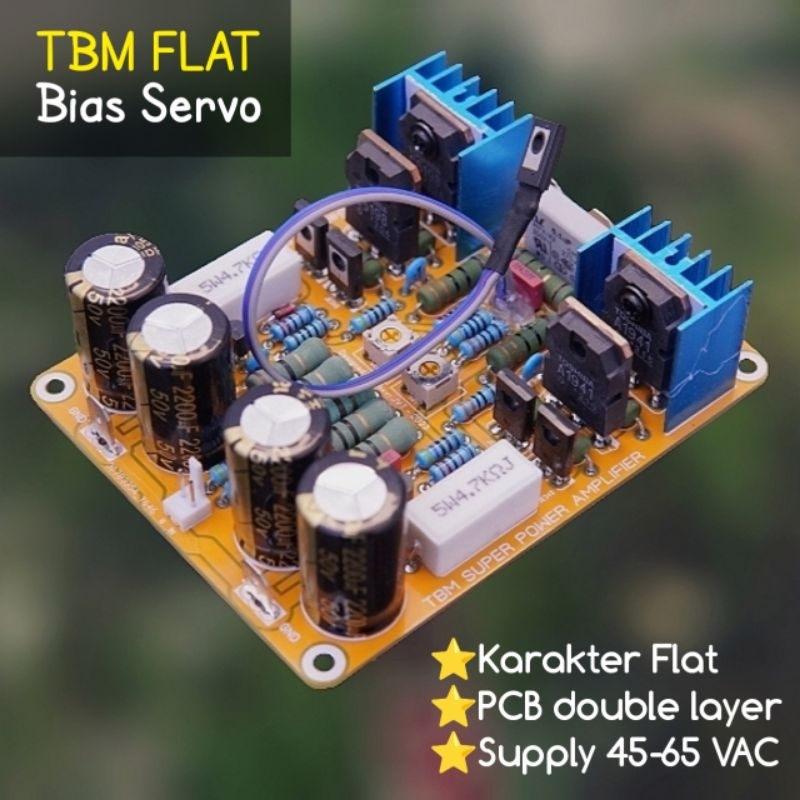 TBM FLAT - TBM BIAS SERVO PCB DOUBLE LAYER