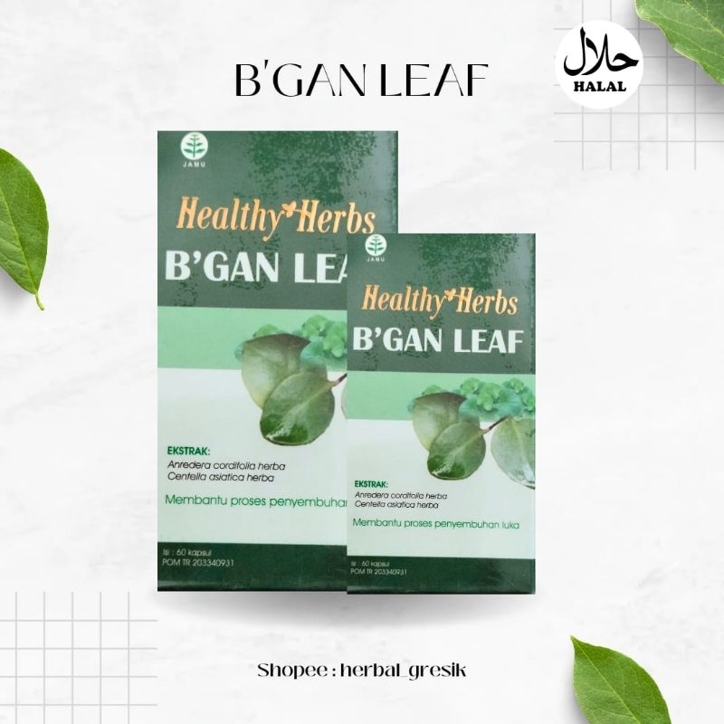 B'GAN LEAF (KAPSUL BINAHONG) AMPUH MENGERINGKAN LUKA PASCA OPERASI DAN PENYEMBUHAN LUKA DIABET