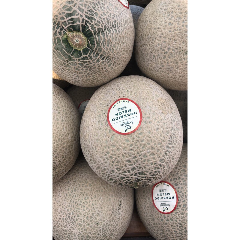 

Melon hokkaido Bogatani Jepang Manis / Pcs