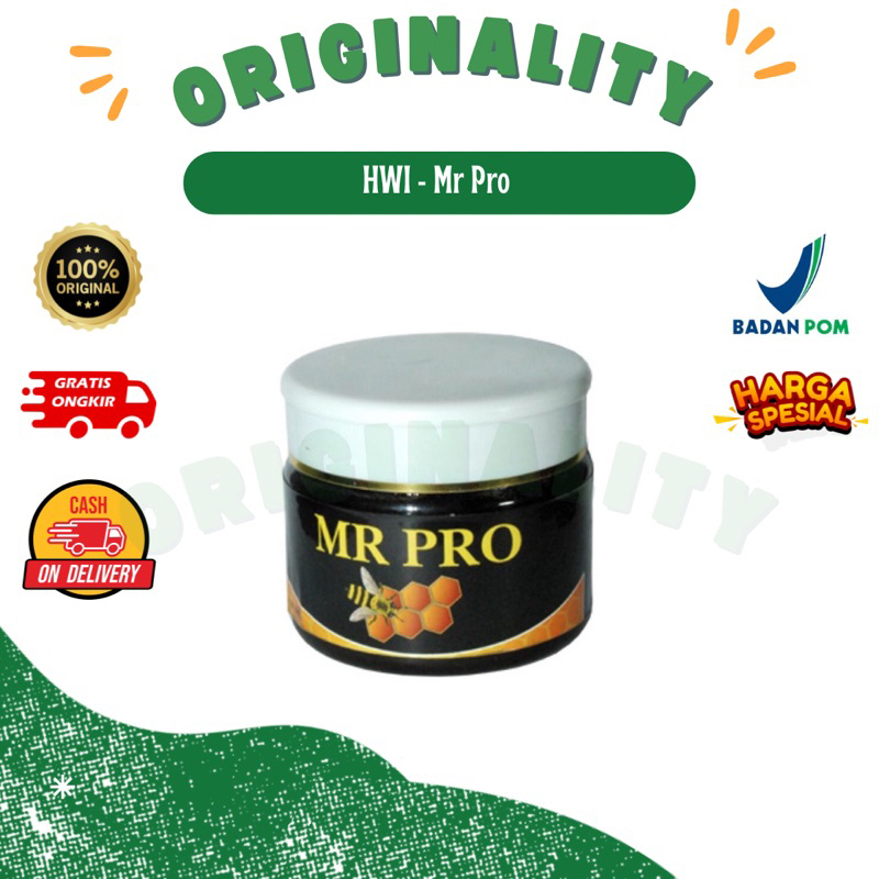 

[ originality ] Mr Pro Original PT. HWI