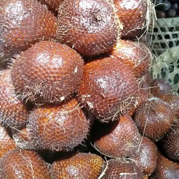 

BUAH SALAK PONDOH ASLI SUPER MANIS 1 KG