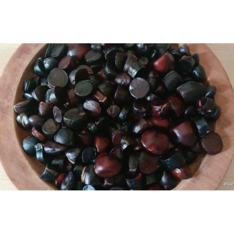 

kabau penambah nafsu makan asli sumatera Termurah