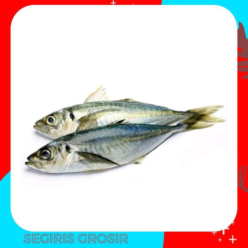 

ikan layang segar 1kg