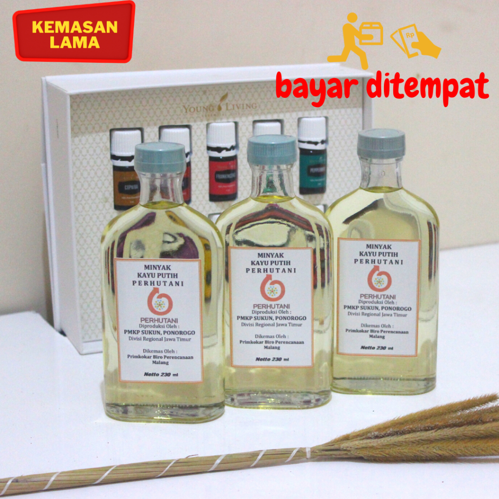 Minyak Kayu Putih Asli 1kg Perhutani