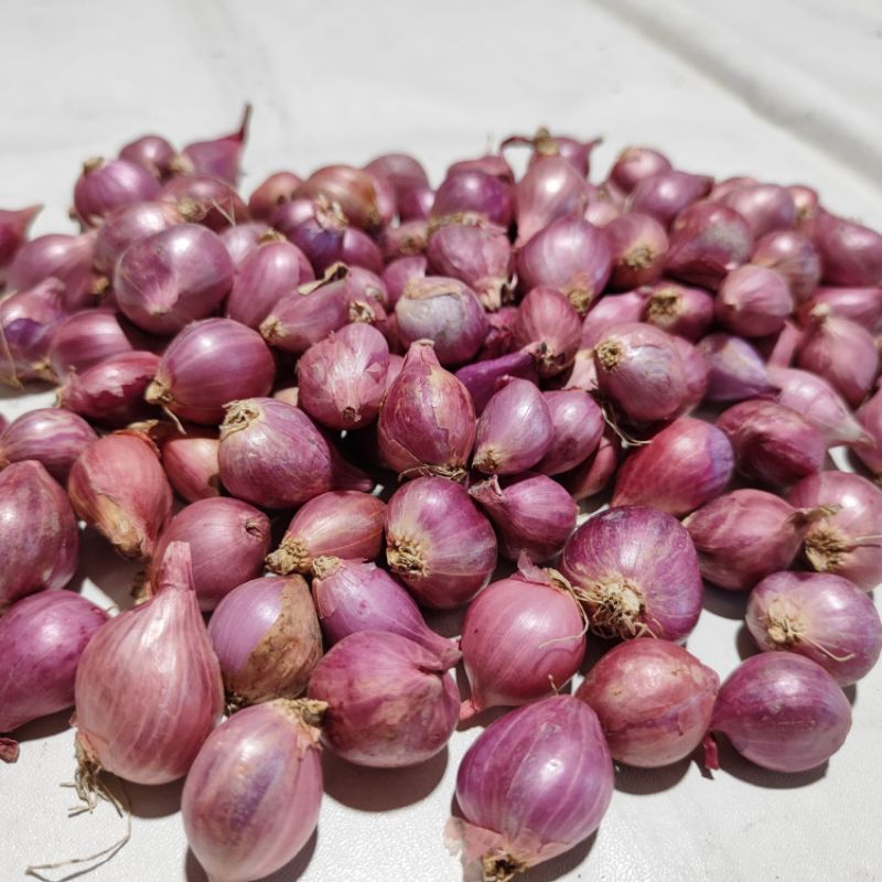 

Bawang Merah tanggung 1000gr (sry12)