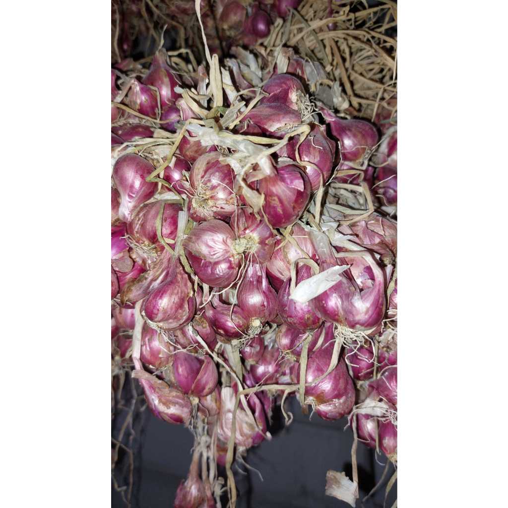 

Bawang Merah Nganjuk