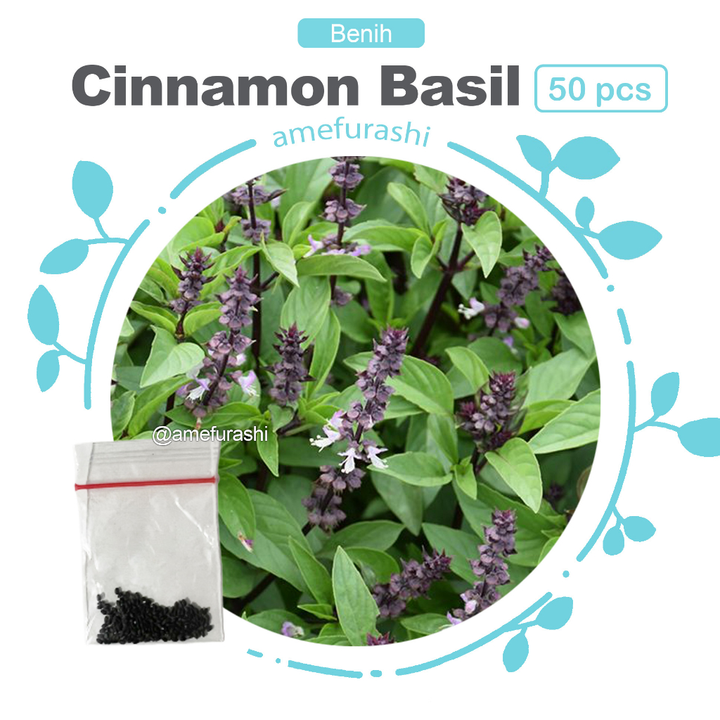 Amefurashi 50 Benih Bibit Biji Herb Chamomile Edible Flower Cocok Untuk Minum Teh