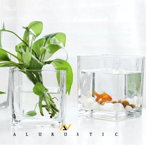 AQUARIUM MINI KOTAK PERSEGI 12 CM / AKUARIUM CUPANG GUPPY / AQUARIUM KACA TABUNG / AKUARIUM IKAN HIA