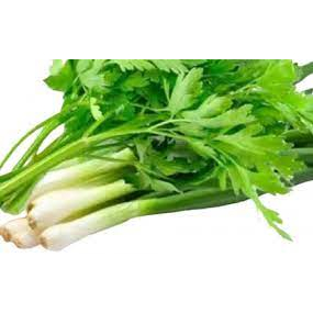 

Paket Bawang Prei/Daun Pre/Daun Sop/Seledri Rp. 4000