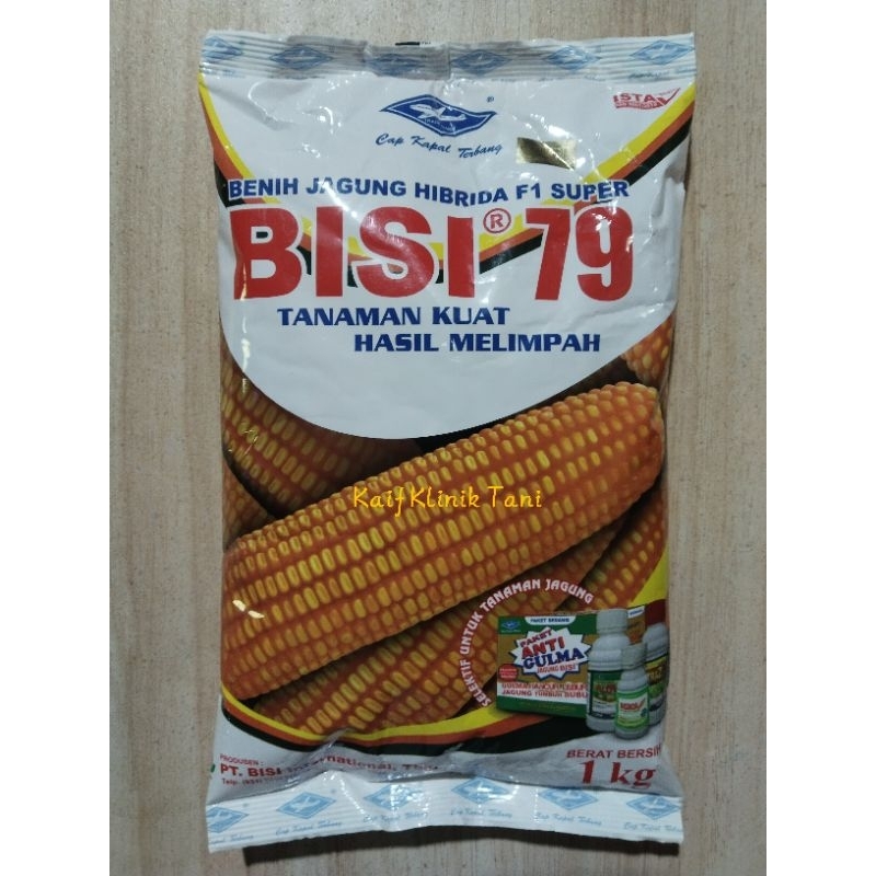 Benih Jagung Bisi 79 1KG - Jagung Hibrida Cap Kapal Terbang