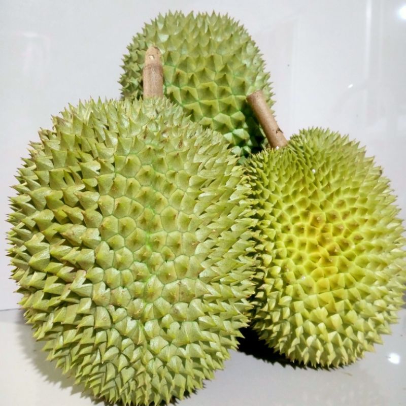 

COD Durian ijo premium isi Manis pahit legit tebal asli Rogoselo pekalongan