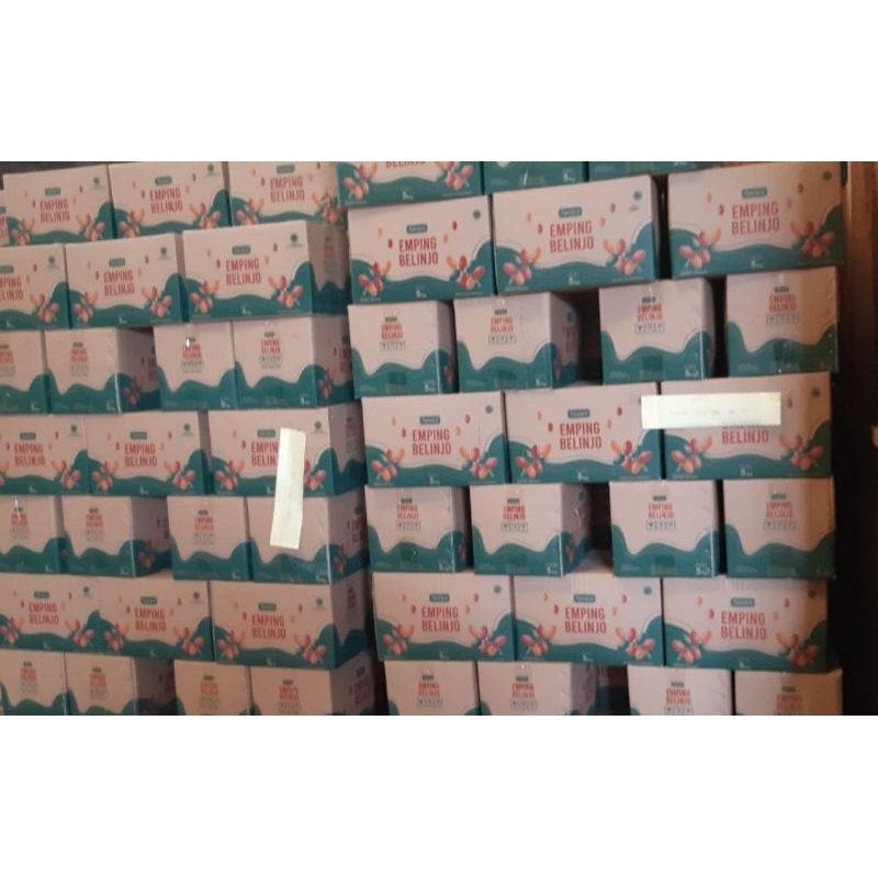 

EMPING BELINJO 1 DUS ISI 5 KILO ADA BIJI BESAR SAMA KECIL